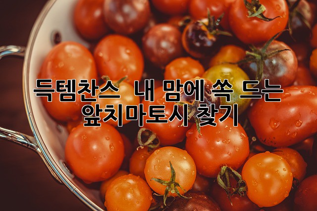 득템찬스! ✨ 내 맘에 쏙 드는 #앞치마토시 찾기 🧤