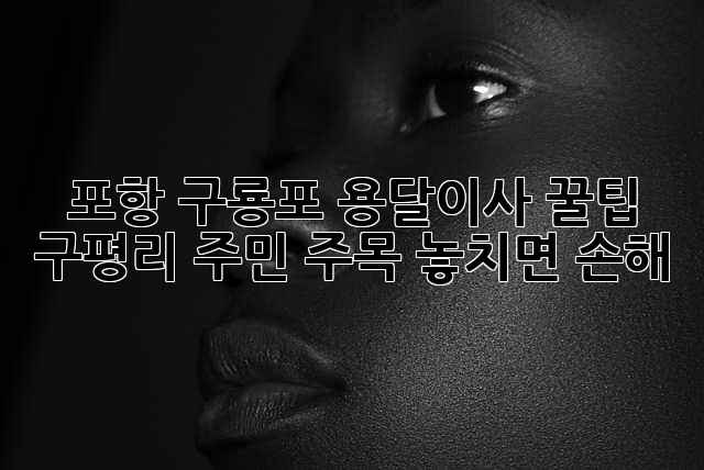 포항 구룡포 용달이사 꿀팁🍯: 구평리 주민 주목! 놓치면 손해💰