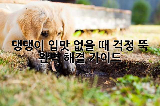 댕댕이 입맛 없을 때? 걱정 뚝! 완벽 해결 가이드🐶